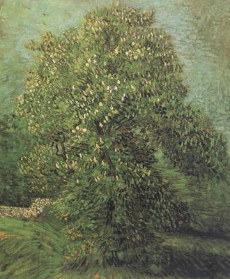 Vincent Van Gogh Chestnut Tree in Blosson (nn04) France oil painting art